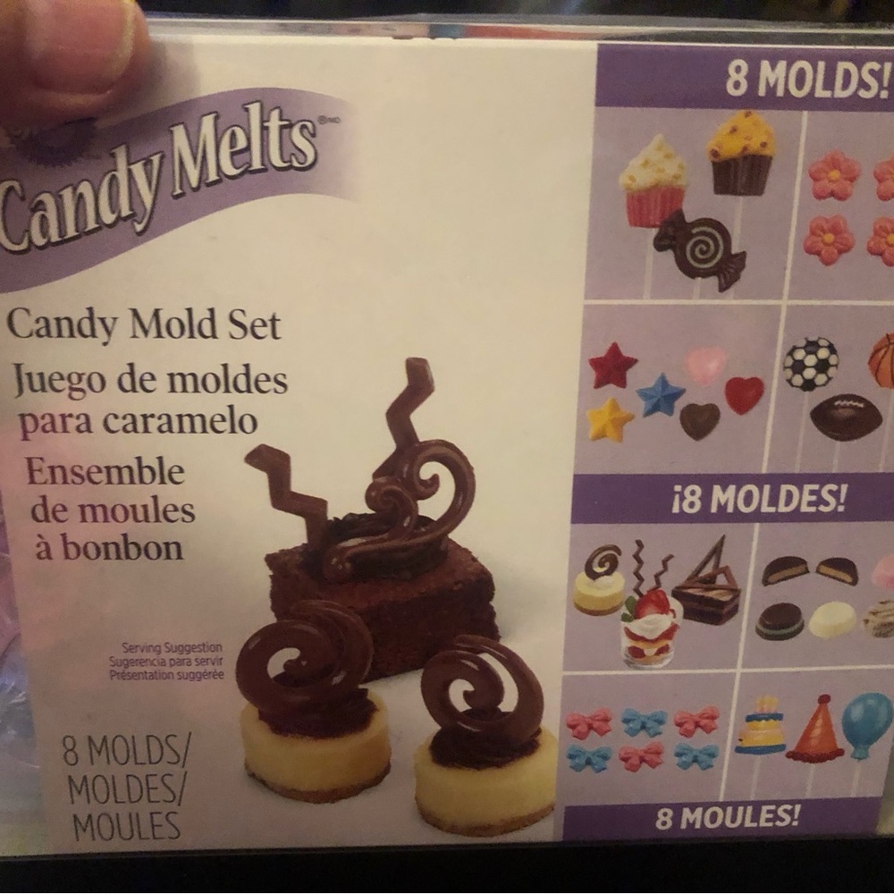Wilton’s candy mold set. Makes petit candies and trim pieces to decorate with.